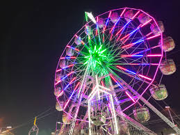 নাগরদোলা ঘুরিয়ে দিনে ১০ লক্ষ টাকা আয়! ভাইরাল ভিডিওতে চমক দেশজুড়ে