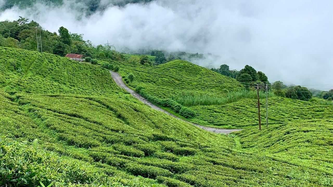 মেঘ রোদ পাহাড়ের খেলায় নতুন স্বর্গ কাঞ্চনজঙ্ঘার হাতছানি মেখে পর্যটকদের টানছে পোখারিধুরা