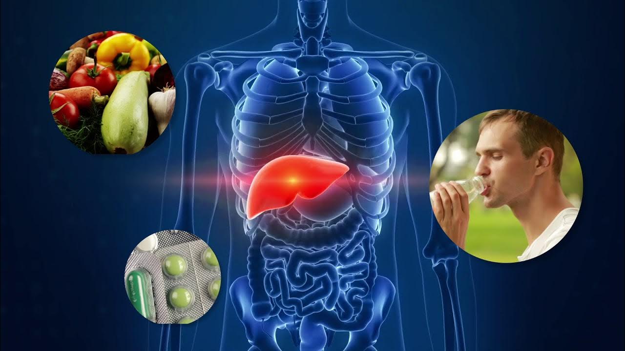 লিভার সিরোসিসের নীরব বিপদ ঘরের চেনা ওষুধই কি বাড়াচ্ছে ঝুঁকি 