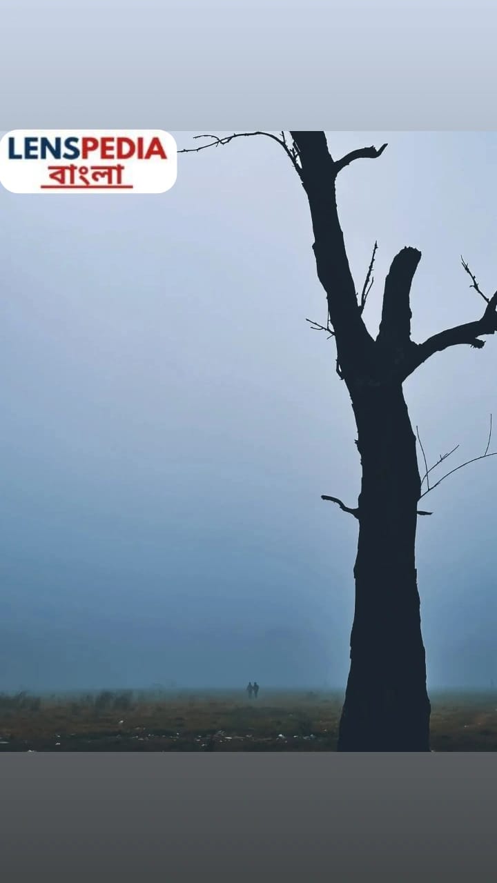 কলকাতায় শীতের আমেজ: বড়দিনে কি বাড়বে ঠান্ডার দাপট?