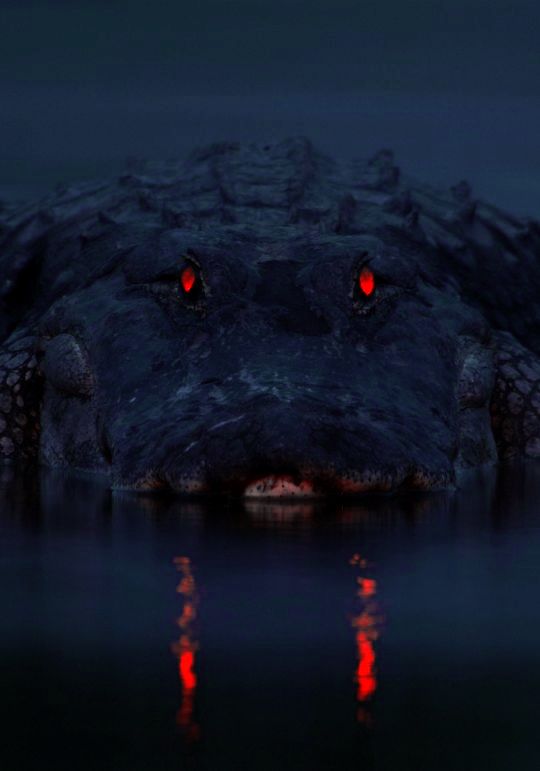 ডাইনোসরখেকো কুমিরেরা কেমন ছিল দেখতে হারিয়ে যাওয়া দৈত্যাকার প্রাণীর প্রতিকৃতি বানিয়ে ফেলেছেন বিজ্ঞানীরা