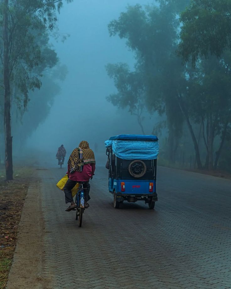 রাজ্যে ফের শুরু হবে উত্তুরে হাওয়ার দাপট জাঁকিয়ে শীতের পূর্বাভাস কুয়াশার সতর্কতা চার জেলায়