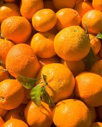 ফল সংরক্ষণে অজান্তেই বড় ভুল  কমছে স্বাদ ও পুষ্টিগুণ