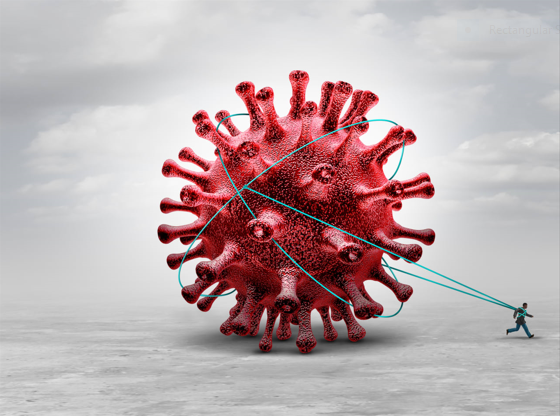 নিপা ভাইরাস নিয়ে উদ্বেগ বেড়েছে রাজ্যে! কোন লক্ষণ দেখলেই সতর্ক হবেন