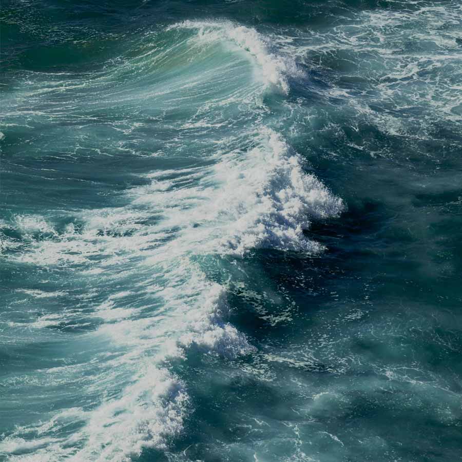 শান্ত সমুদ্রে হঠাৎ ৫৮ ফুটের রাক্ষুসে ঢেউ! ১৩০০ বছরে এক বার ঘটে এমন অঘটন, ‘মিথ’ মেনে নিলেন বিজ্ঞানীরা