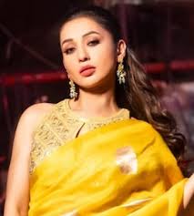 ‘ওঁর বাড়িতে যাইনি বলেই রাগ!’ মিমির অভিযোগে পাল্টা জবাব বনগাঁর তনয়ের