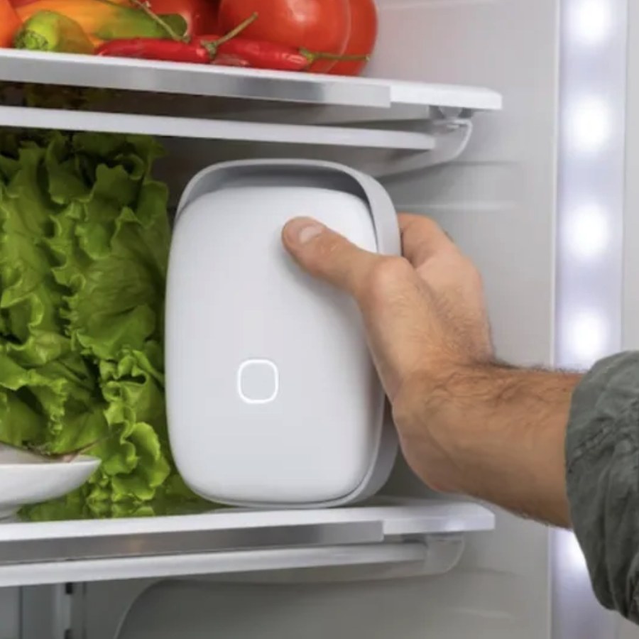 পিউরিফায়ারের সাহায্যে ফ্রিজকে করে তুলুন আরও বুদ্ধিমান নয়া ডিভাইসের গুণেই বন্ধ হবে খাবারের অপচয়