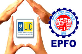 PF অ্যাকাউন্ট থেকেই LIC প্রিমিয়াম পরিশোধের সুযোগ দিচ্ছে EPFO