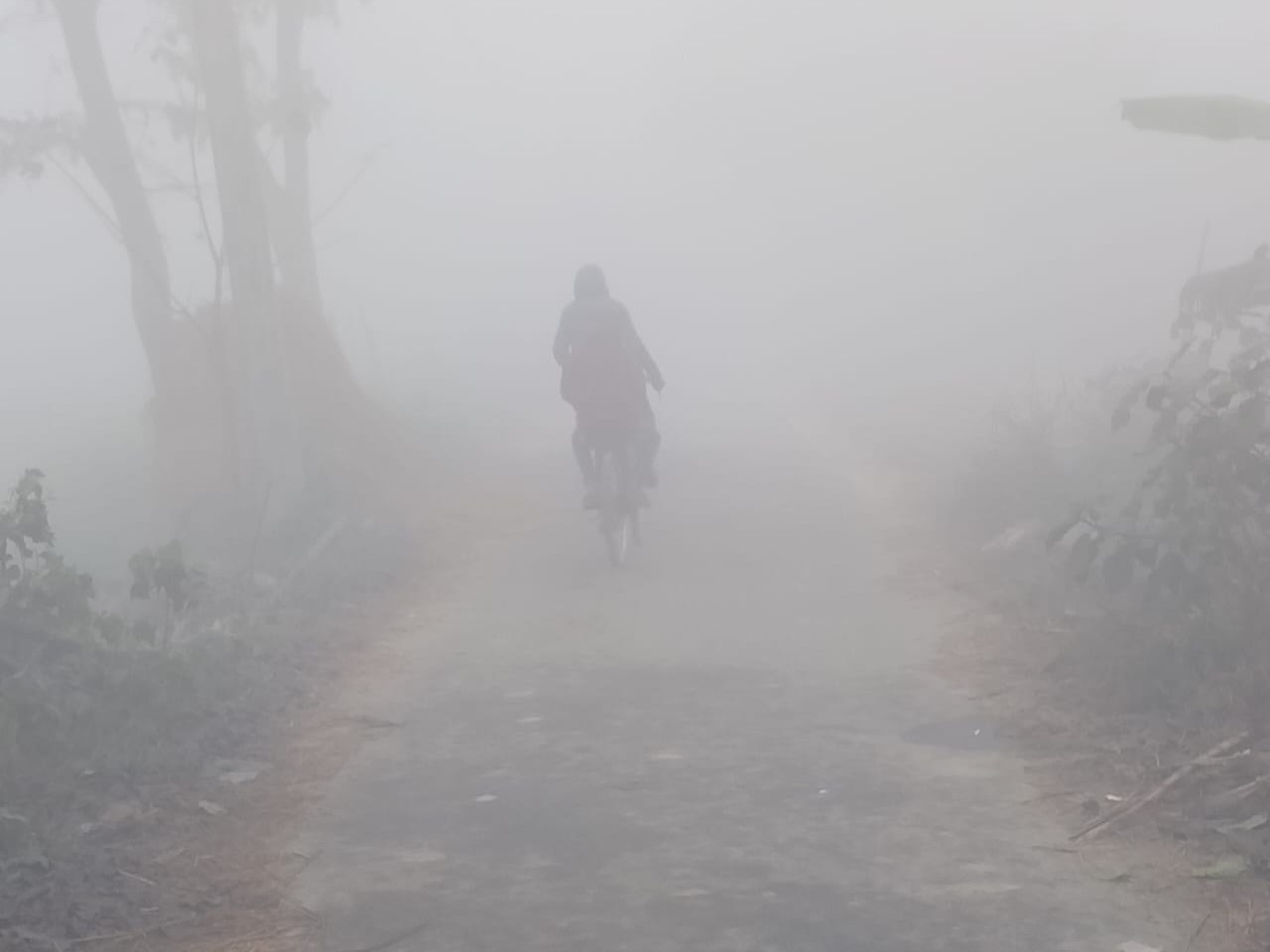 দার্জিলিঙে তুষারপাতের সম্ভাবনা  হালকা বৃষ্টি ও কুয়াশার সতর্কতা কলকাতায় কেমন থাকবে আবহাওয়া
