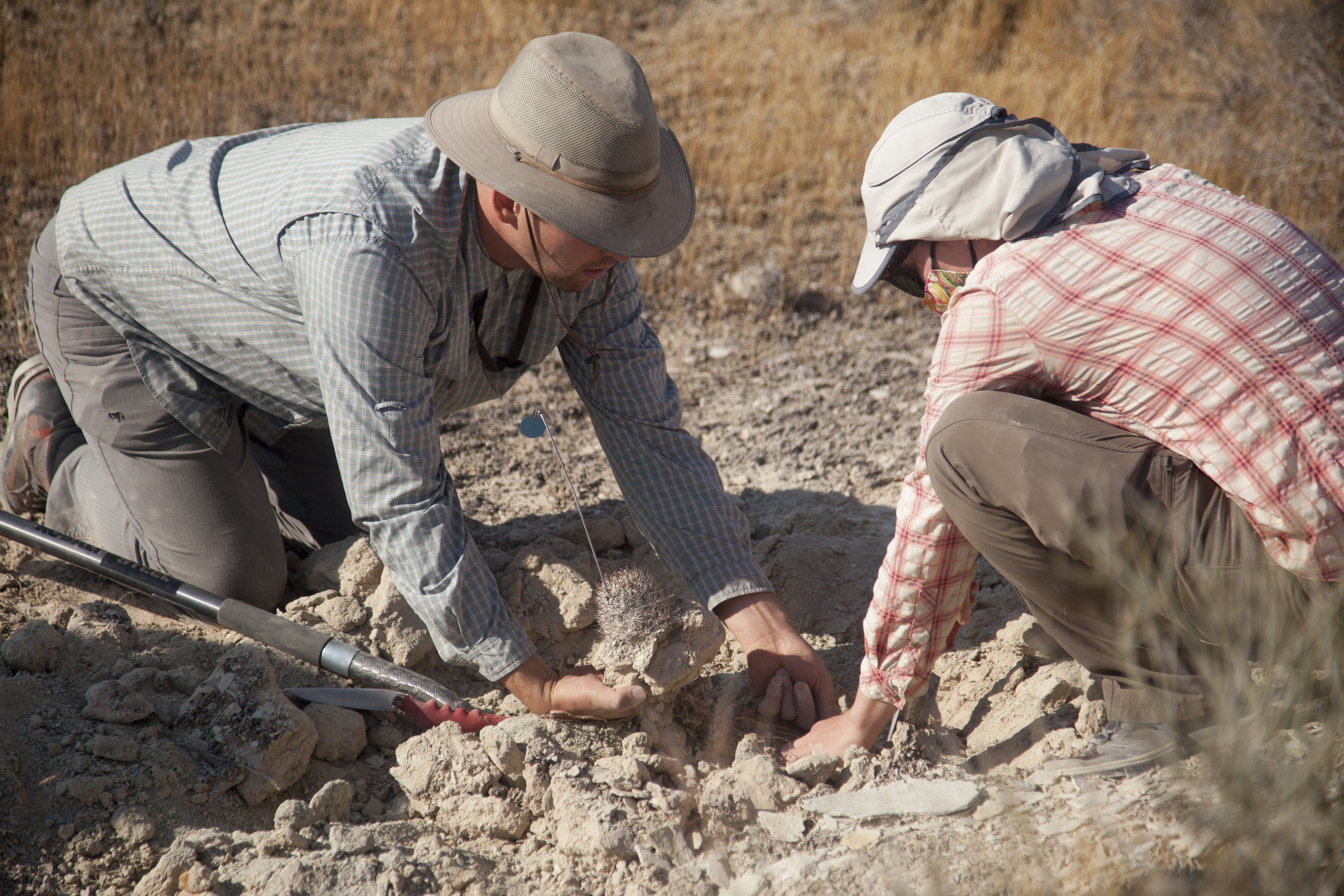 ৯ লক্ষ বছর আগে পৃথিবী থেকে প্রায় বিলুপ্ত হয়েছিল মানুষ  সেই বিপর্যয় থেকেই কি আধুনিক মানবের জন্ম 