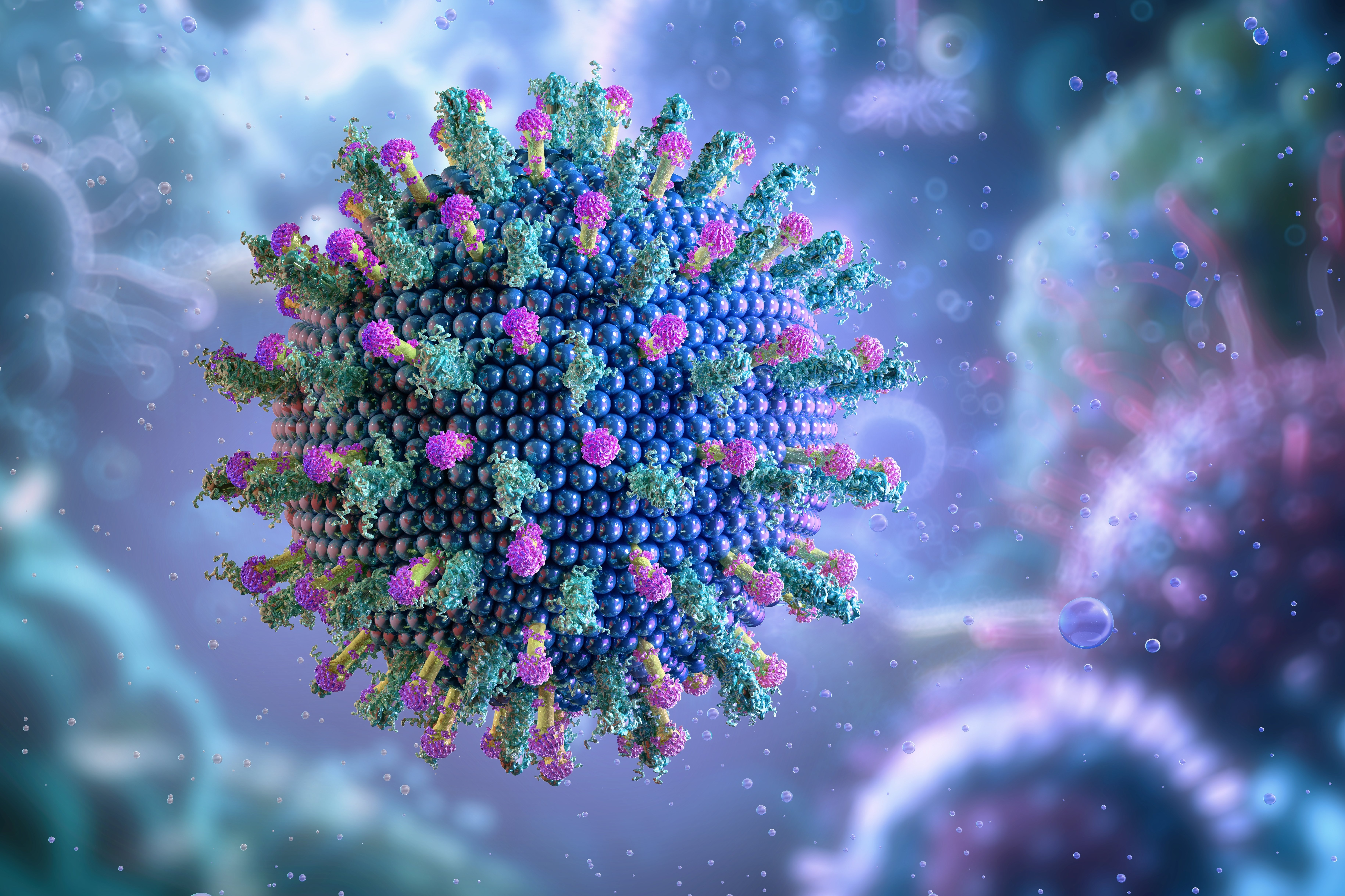 ভারত থেকে নিপা ভাইরাস ছড়ানোর ঝুঁকি কম আশ্বস্ত করল বিশ্ব স্বাস্থ্য সংস্থা