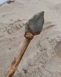 পূর্ব এশিয়ায় আধুনিক প্রস্তর-অস্ত্রের সন্ধান! লক্ষাধিক বছর আগে কি তা তৈরি করেছিল আধুনিক মানব?