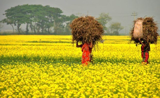রেকর্ড ছুঁয়ে হাড় কাঁপানো ঠান্ডা  ফেব্রুয়ারিতে কি ফের শীতের কামড়