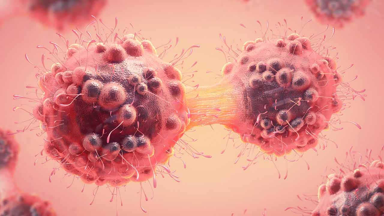 ভারতে কোন কোন ক্যানসারের প্রতিরোধ সম্ভব? সমীক্ষায় জানাল বিশ্ব স্বাস্থ্য সংস্থা