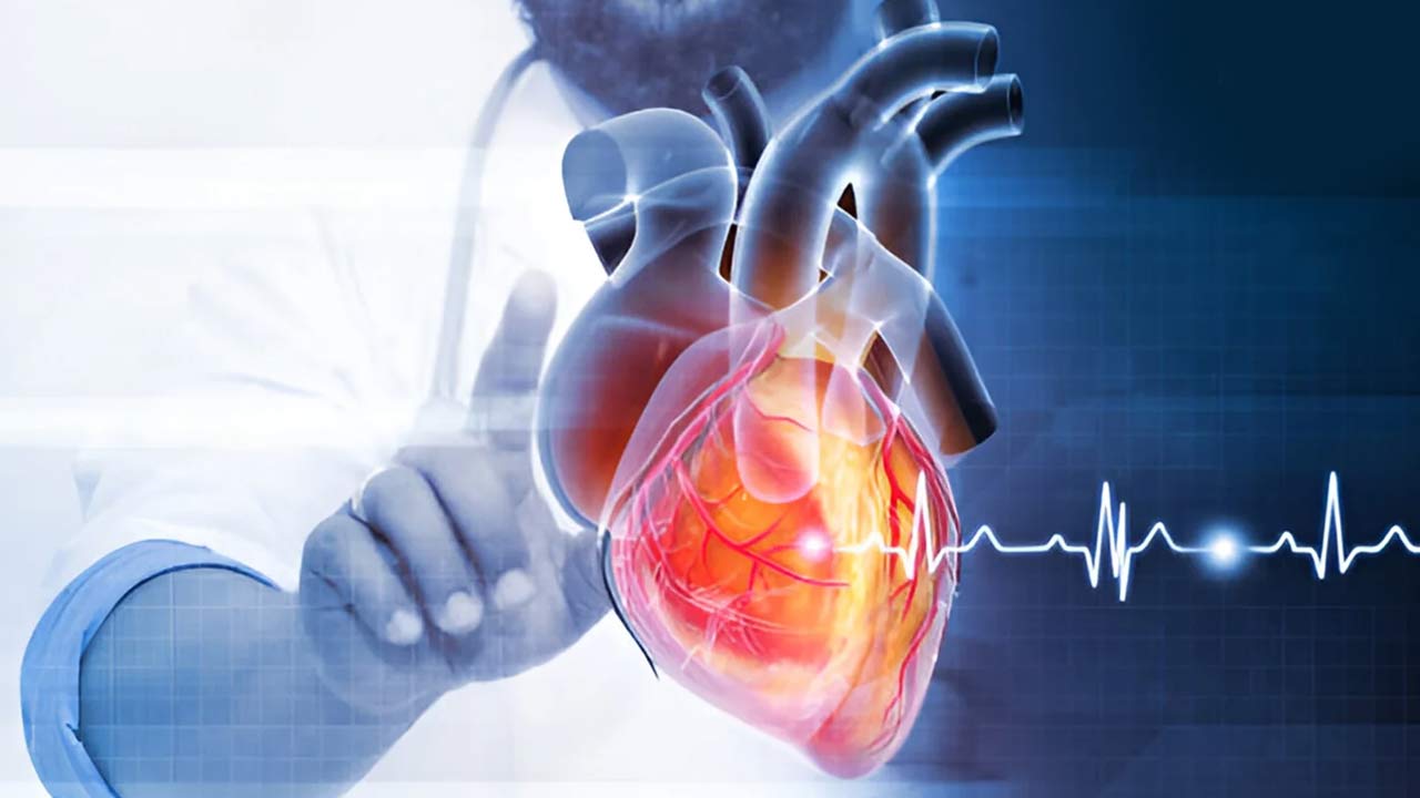 ৪০ সেকেন্ডে জানুন  আপনার হার্টের স্বাস্থ্য ঠিক আছে কি না 