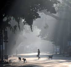 জাঁকিয়ে শীতের ইঙ্গিত! কলকাতায় পারদ ১৪ ডিগ্রিতে, কালিম্পং ছুঁল কল্যাণী