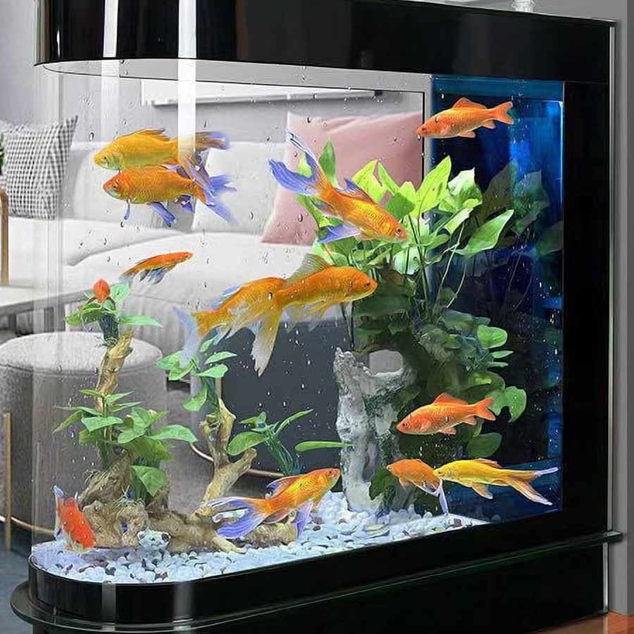 অ্যাকোয়ারিয়ামের জল ফেলছেন জানলে অবাক হবেন এই জলেই ফুলে-ফেঁপে উঠবে আপনার বাগান 