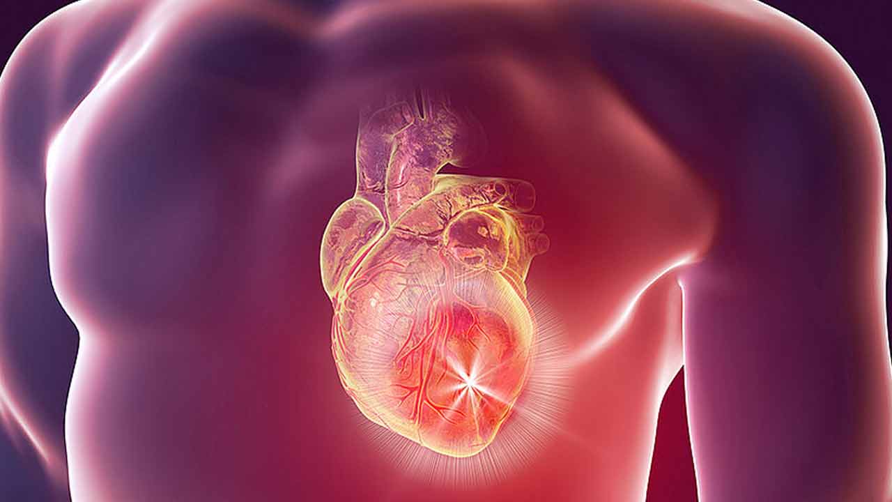 হার্ট অ্যাটাকের পরে নিজে থেকেই বেঁচে উঠবে মৃত কোষ! ভাঙা হৃদয় জোড়া লাগানোর নতুন পথের খোঁজ