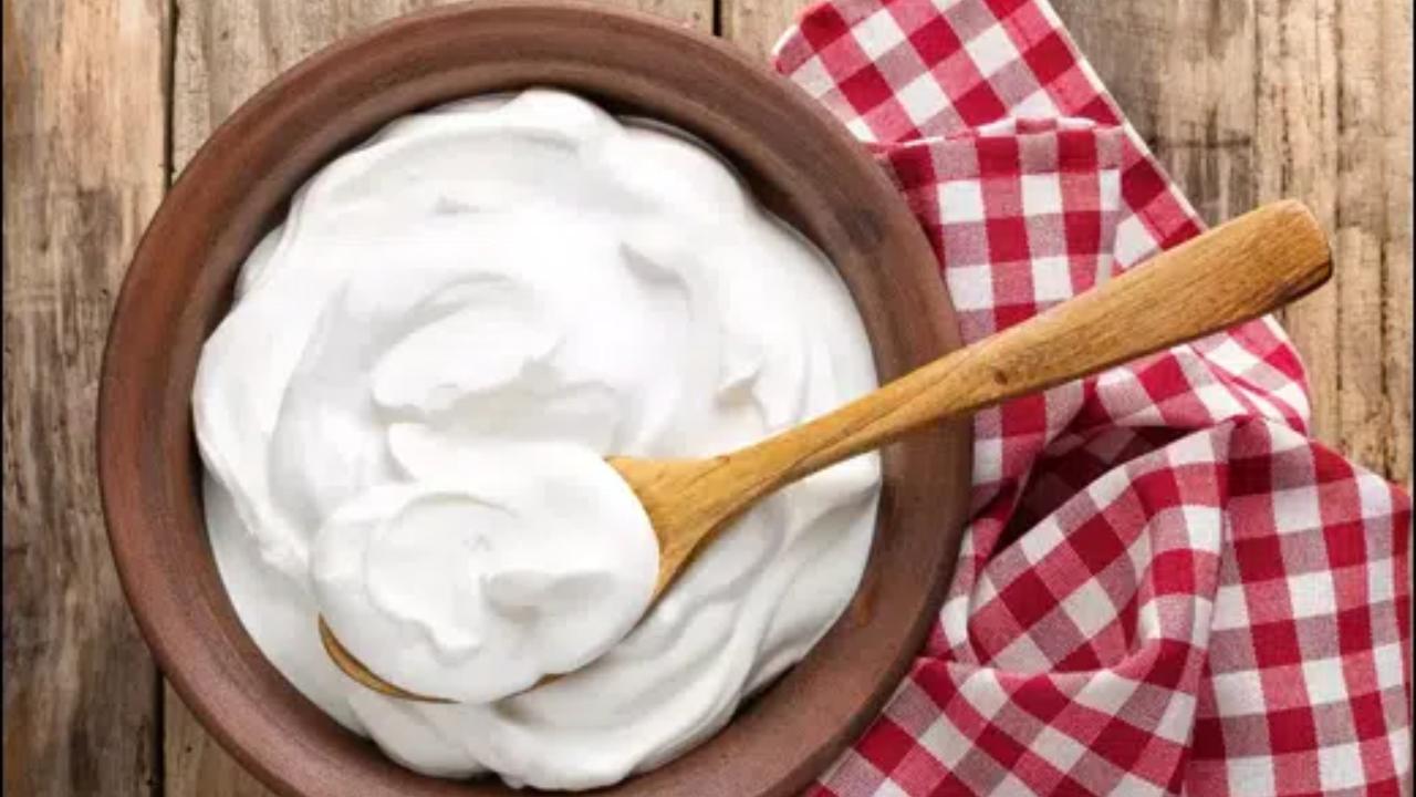 দইয়ের সঙ্গে মিশিয়ে নিন একটি উপকরণ স্বাদ বৃদ্ধির পাশাপাশি উপকৃত হবে অন্ত্রের ভাল ব্যাক্টেরিয়াও