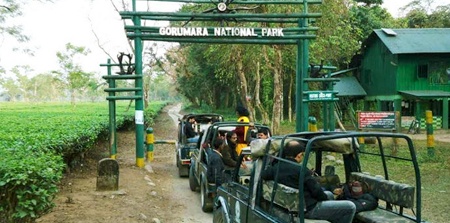 ডুয়ার্সে জঙ্গল সাফারি বিপদ এড়াতে যাওয়ার আগে যা জানতে হবে