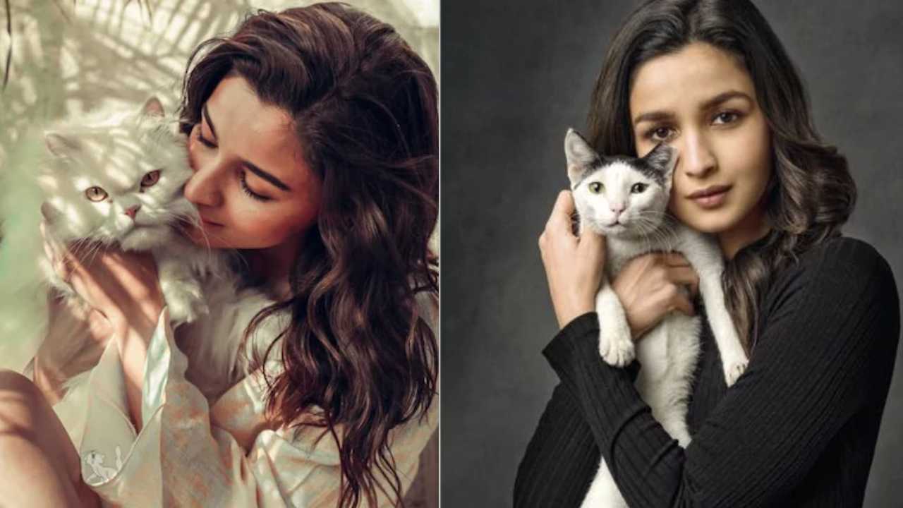 পোষ্যদের থেকেই জীবনের সহজপাঠ শিখেছেন আলিয়া নায়িকাকে কী কী শিখিয়েছে এডওয়ার্ড জুনিপাররা