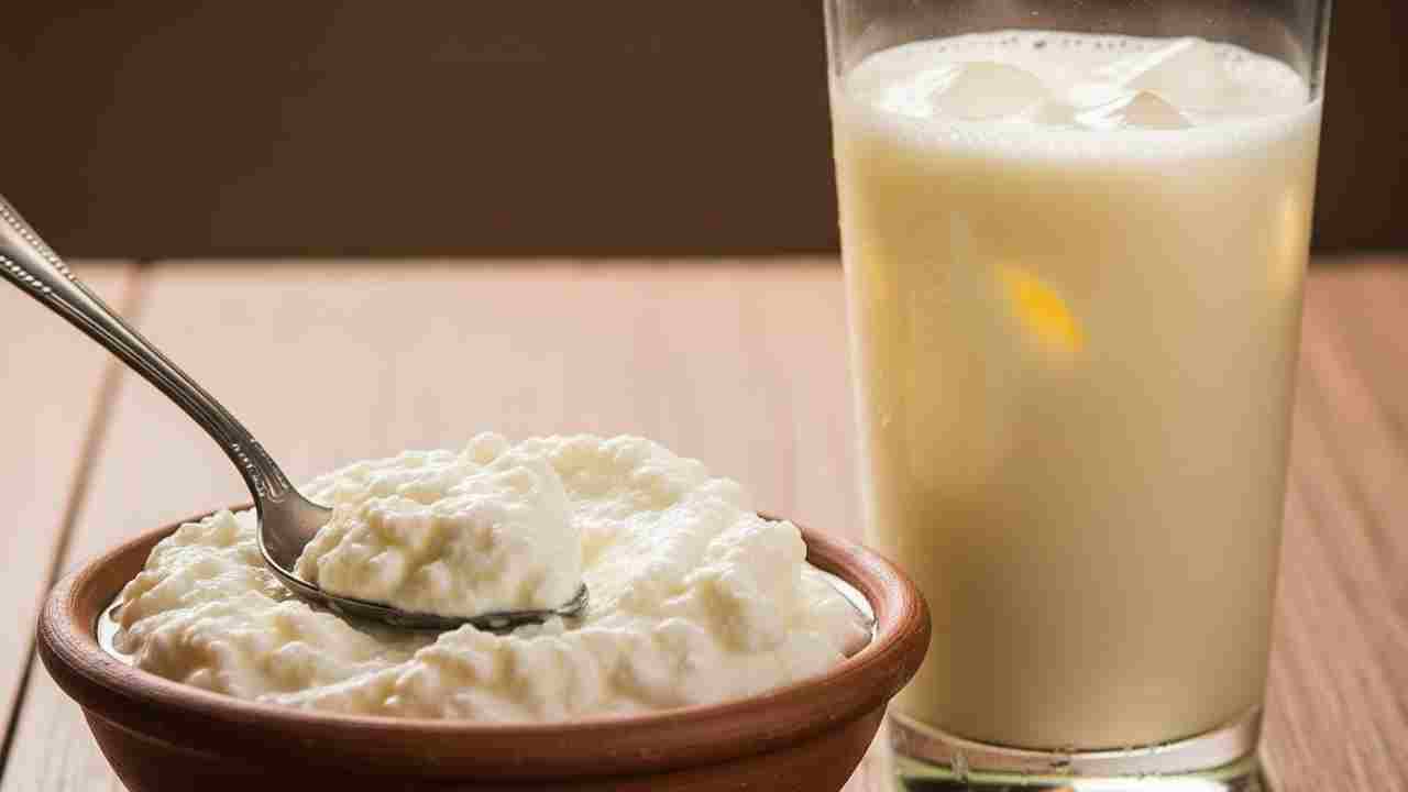 দই হলো দুধে জীবিত ব্যাকটেরিয়া  প্রোবায়োটি মিশিয়ে তৈরি একটি ফারমেন্টেড খাবার।