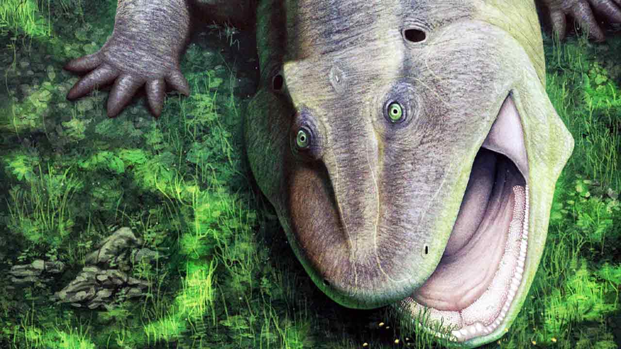 এমন কোনও জীবও যে পৃথিবীতে ছিল জানতেনই না কেউ অদ্ভুত দর্শন বিলুপ্ত প্রাণীর জীবাশ্মের সন্ধান মিলল আমাজ়নে