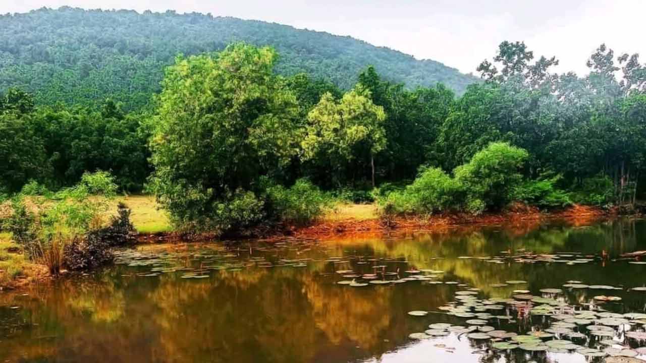 শেষবেলায় শিমুল পলাশ দেখতে চলুন বাঙালির হাওয়া বদলের পুরনো ঠিকানা গিরিডি মধুপুরে