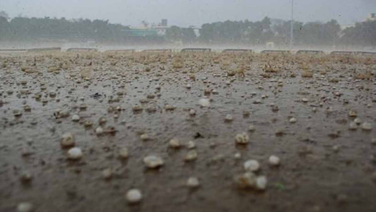 ৭০ কিমি বেগে ঝড় দক্ষিণবঙ্গের ১১ জেলায় শিলাবৃষ্টি কোথায় কোথায় কী হবে কলকাতায় চার দিনের পূর্বাভাস