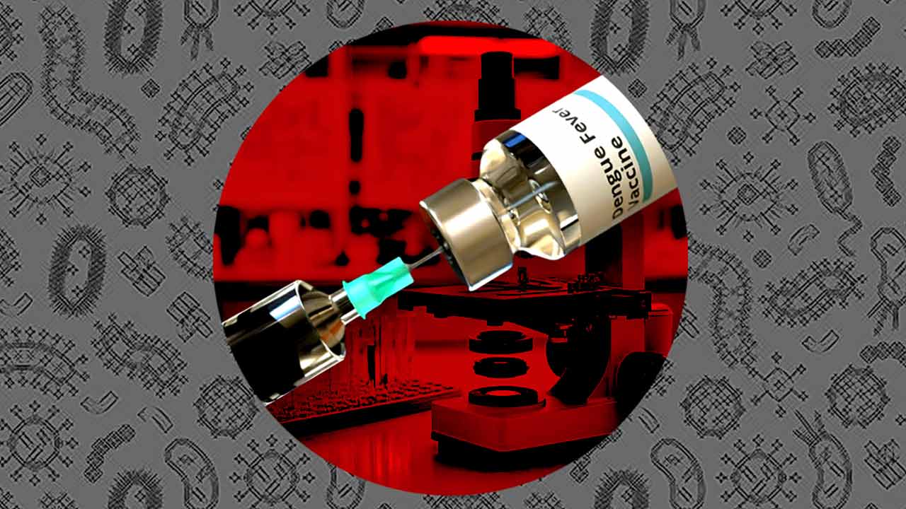 ভারতে ডেঙ্গির টিকা অনুমোদনের অপেক্ষায় কী কী প্রতিষেধক নিয়ে পরীক্ষা চলছে