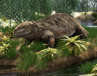 ডিম পাড়ত স্তন্যপায়ীদের পূর্বসূরি—২৫ কোটি বছরের প্রাচীন জীবাশ্মে মিলল প্রথম নির্ভরযোগ্য প্রমাণ