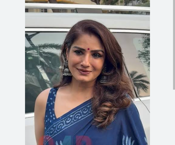 ২৫ লক্ষ টাকার গয়না উধাও! রবীনার বাড়িতে চুরির ঘটনায় পুলিশের জালে কে?
