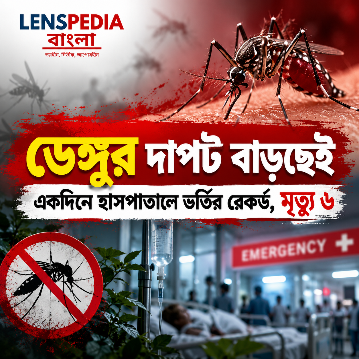 ডেঙ্গুর দাপট বাড়ছে, ৬ জনের মৃত্যু একদিনে হাসপাতালে ভর্তিতে নয়া রেকর্ড