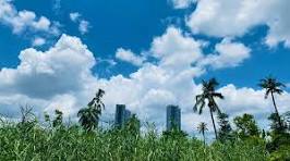 ভারী দুর্যোগ না হলেও বিক্ষিপ্ত বৃষ্টির সম্ভাবনা, পুজোর মুখে কেমন থাকবে বাংলার আবহাওয়া?