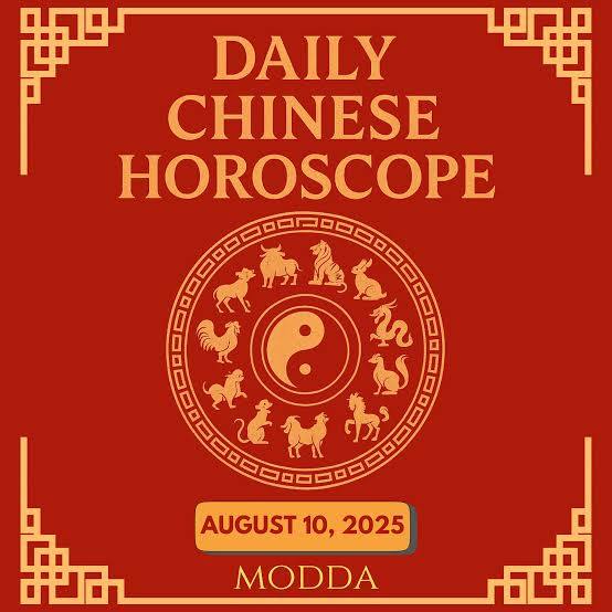 Chinese Horoscope Today: ৪ অক্টোবর ২০২৬-এর চাইনিজ রাশিফল, কেমন যাবে আজকের দিন? জানুন জ্যোতিষী চিরাগ দারুওয়ালার ভবিষ্যদ্বাণী