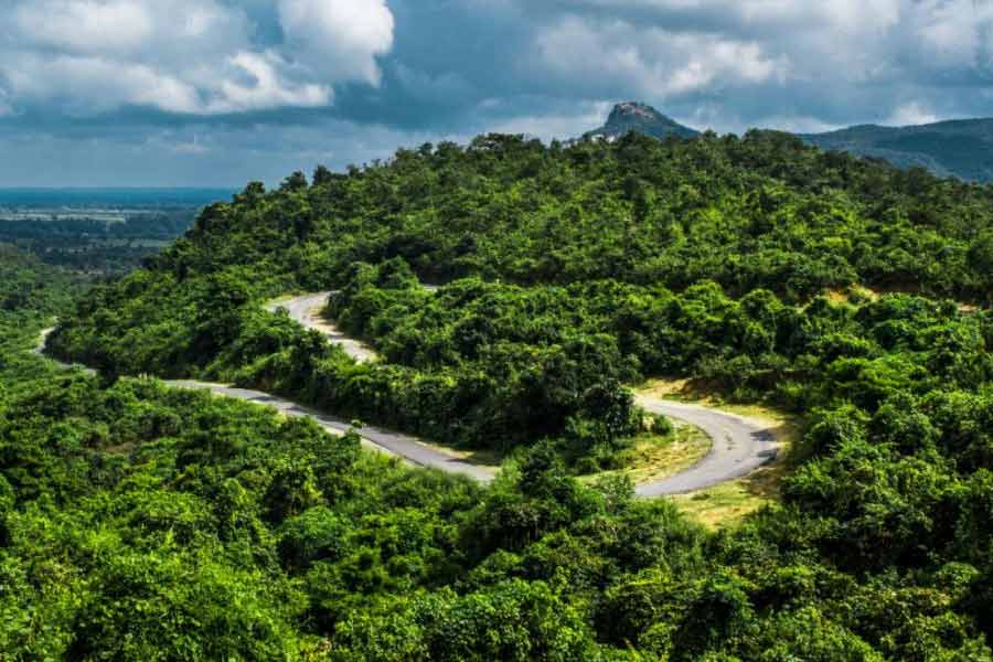 ডুয়ারসিনি: শহরের কোলাহল ছেড়ে পাহাড়-জঙ্গল আর আদিবাসী সংস্কৃতির মাঝে এক টুকরো শান্তির ঠিকানা