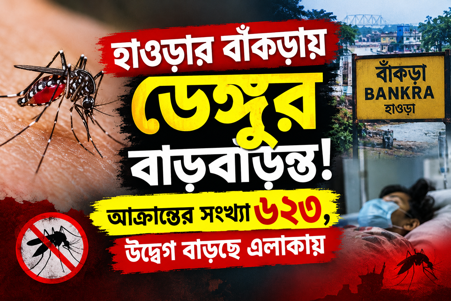 হাওড়ার বাঁকড়ায় ডেঙ্গুর বাড়বাড়ন্ত আক্রান্তের সংখ্যা ৬২৩, উদ্বেগ বাড়ছে এলাকায়